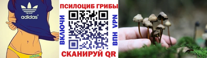 купить наркоту  Самара  Галлюциногенные грибы мицелий 